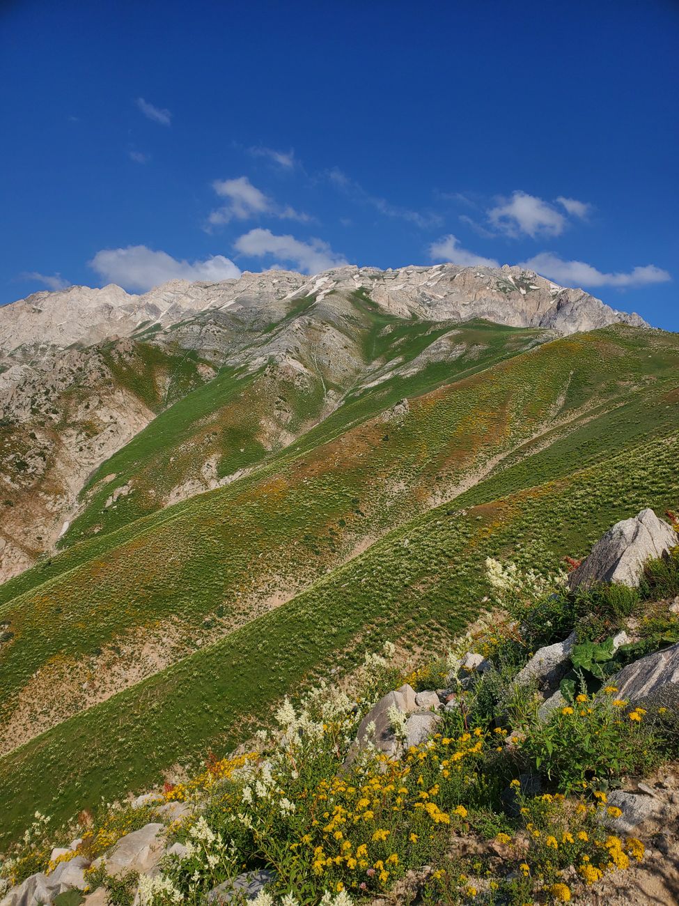 View of a mountain range in Tashkent region, Uzbekistan during summer · Nature & geography, Uzbekistan